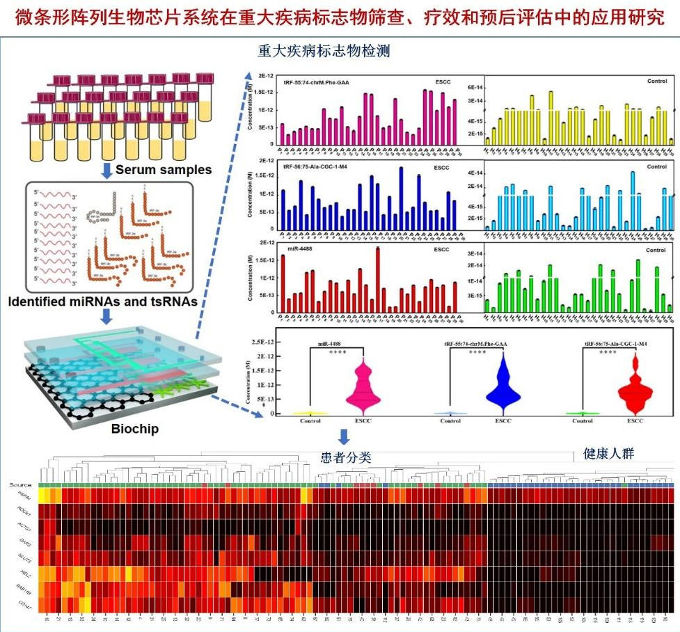 专家团队(图4) 1-2603161011332A.jpg