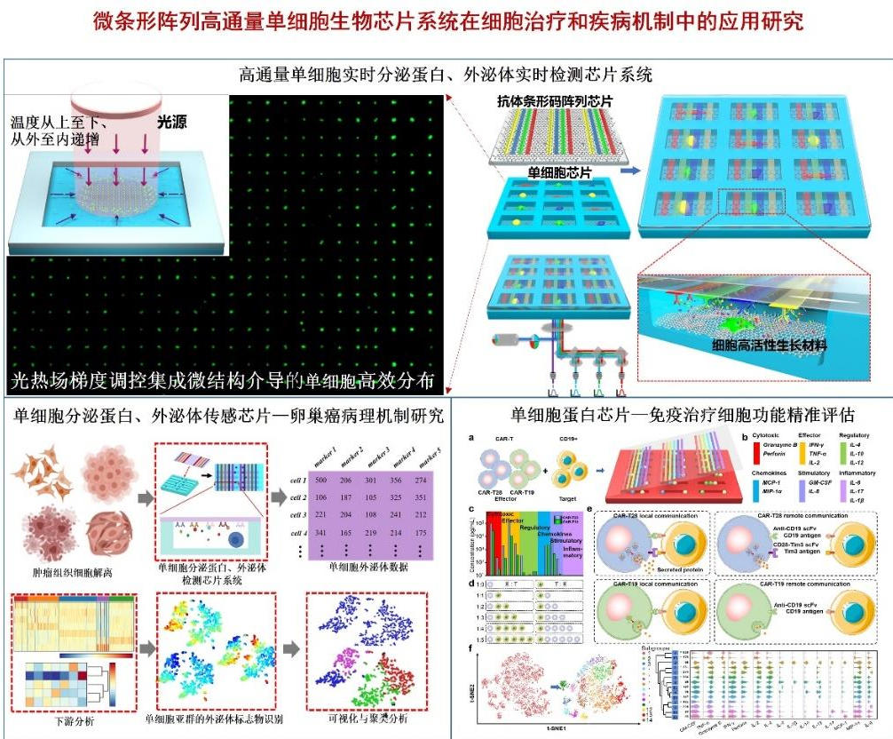 专家团队(图5) 1-260316101152M8.jpg