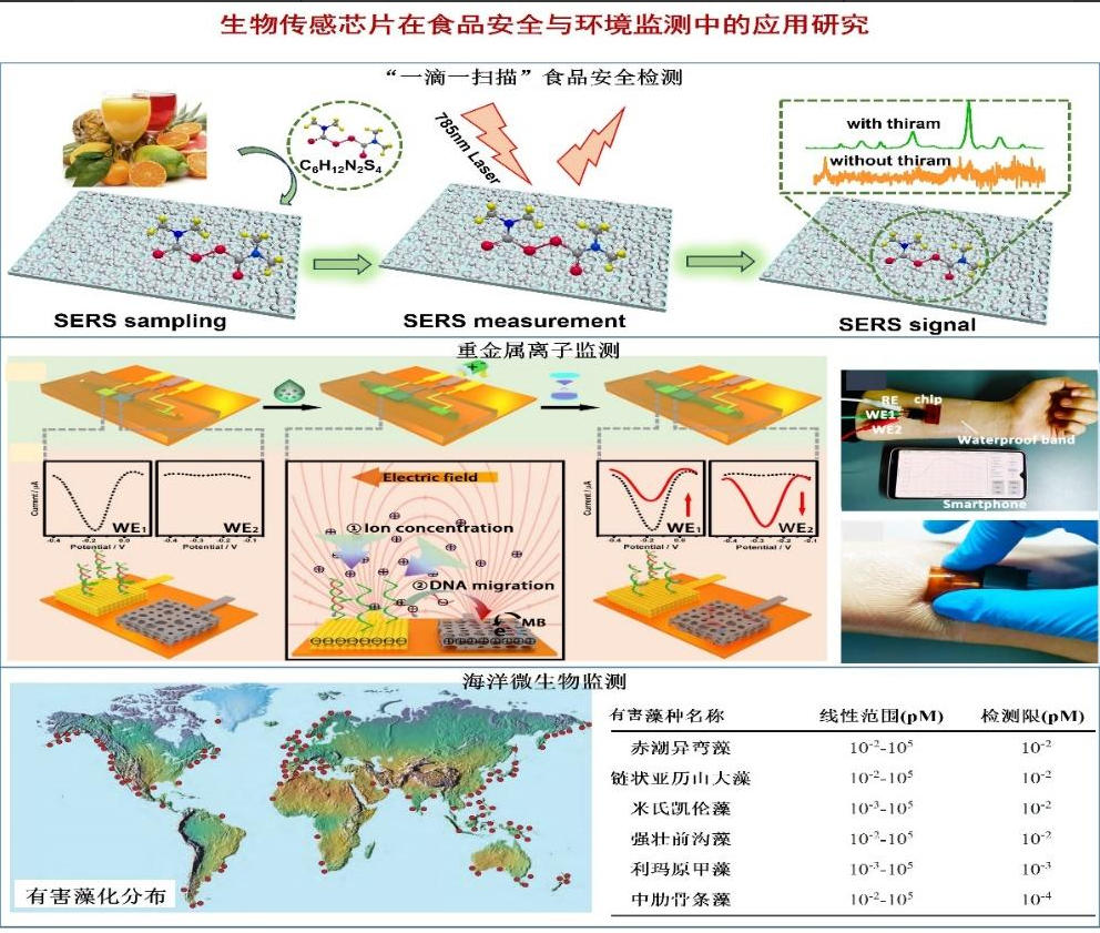 专家团队(图6) 1-2603161012063I.jpg